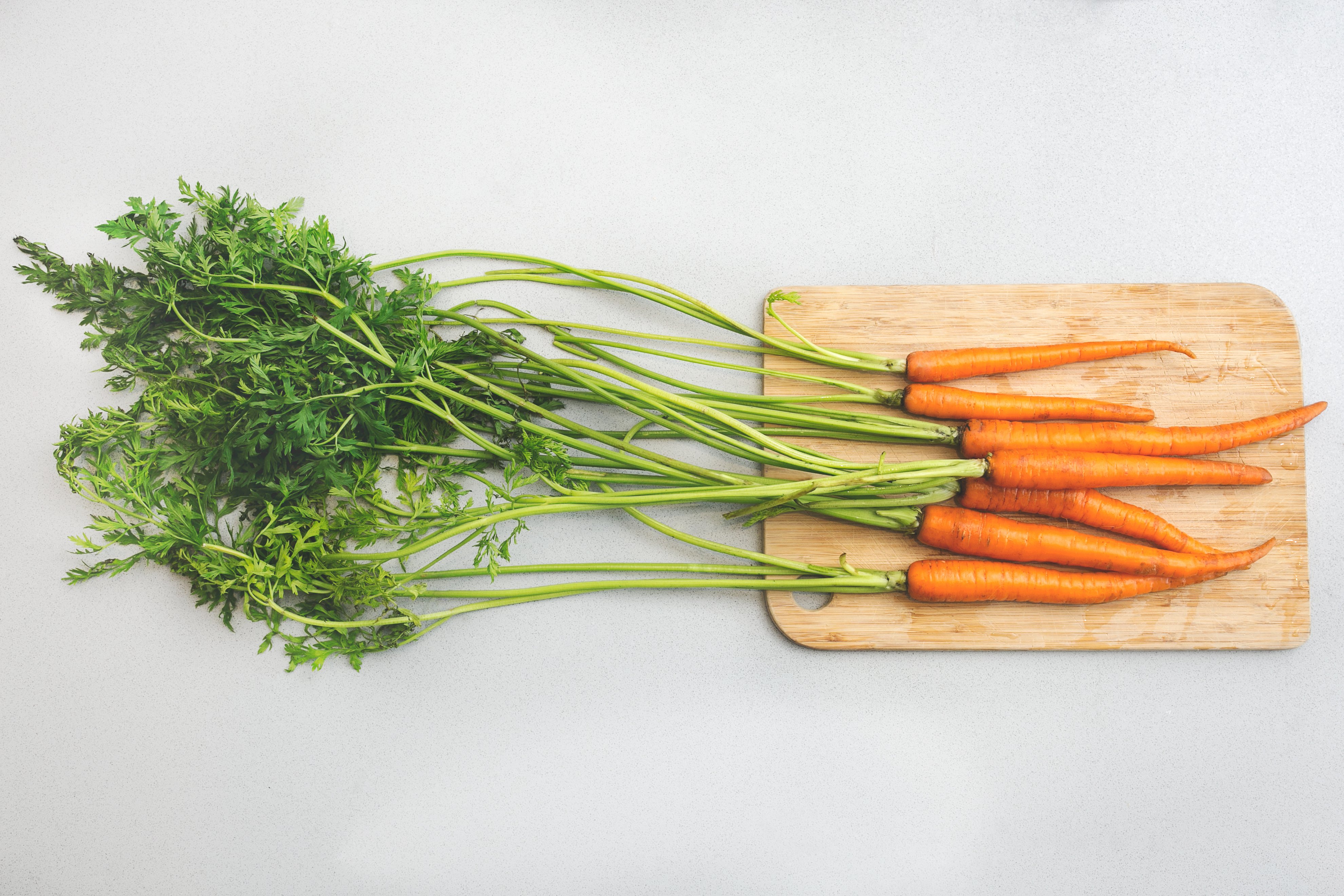 garden-carrots_4460x4460